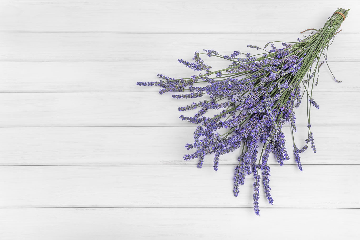 deodoranti-ambiente-aromi-casa-lavanda.jpg