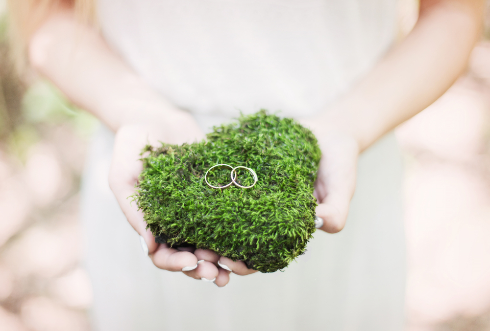 matrimonio-verde-greenery-anelli.jpg