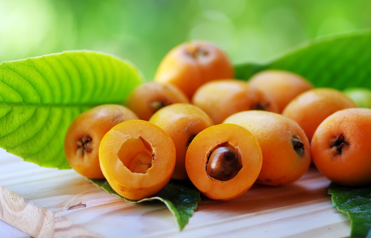 Nespole, calorie e proprietà benefiche di questo delizioso frutto