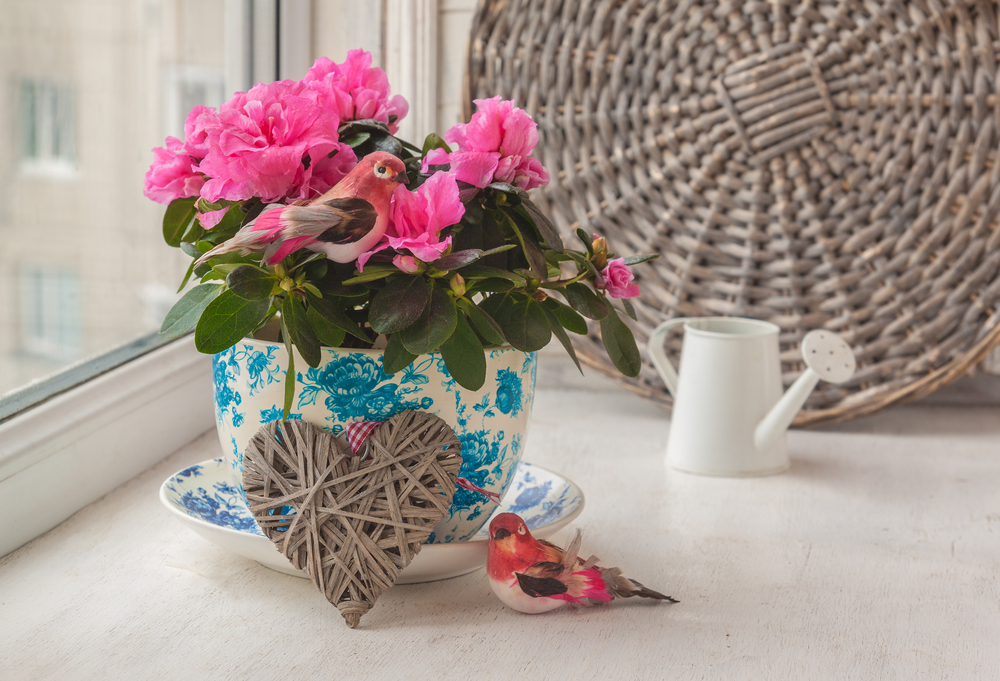 fiori-festa-mamma-regalare-azalea.jpg