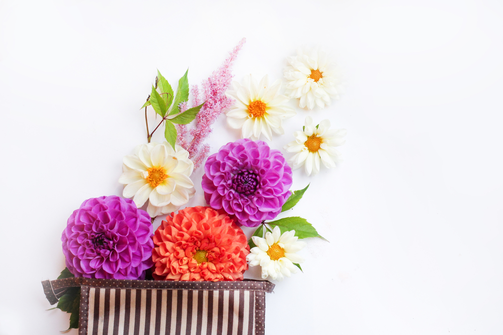 fiori-festa-mamma-regalare-dalie.jpg