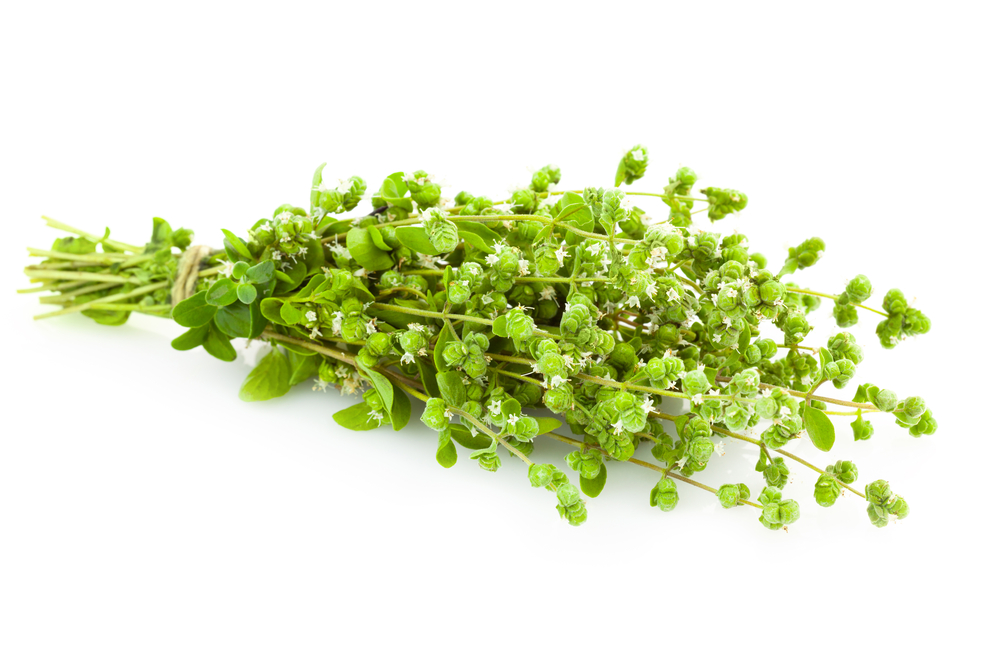 come-conservare-origano-fresco_2.jpg