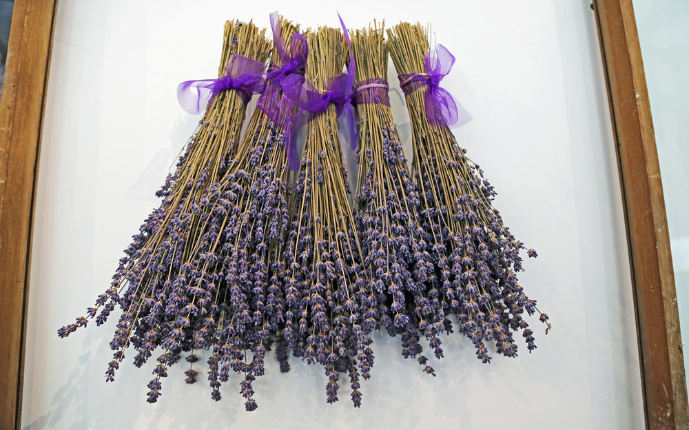 essiccare-lavanda_2.jpg