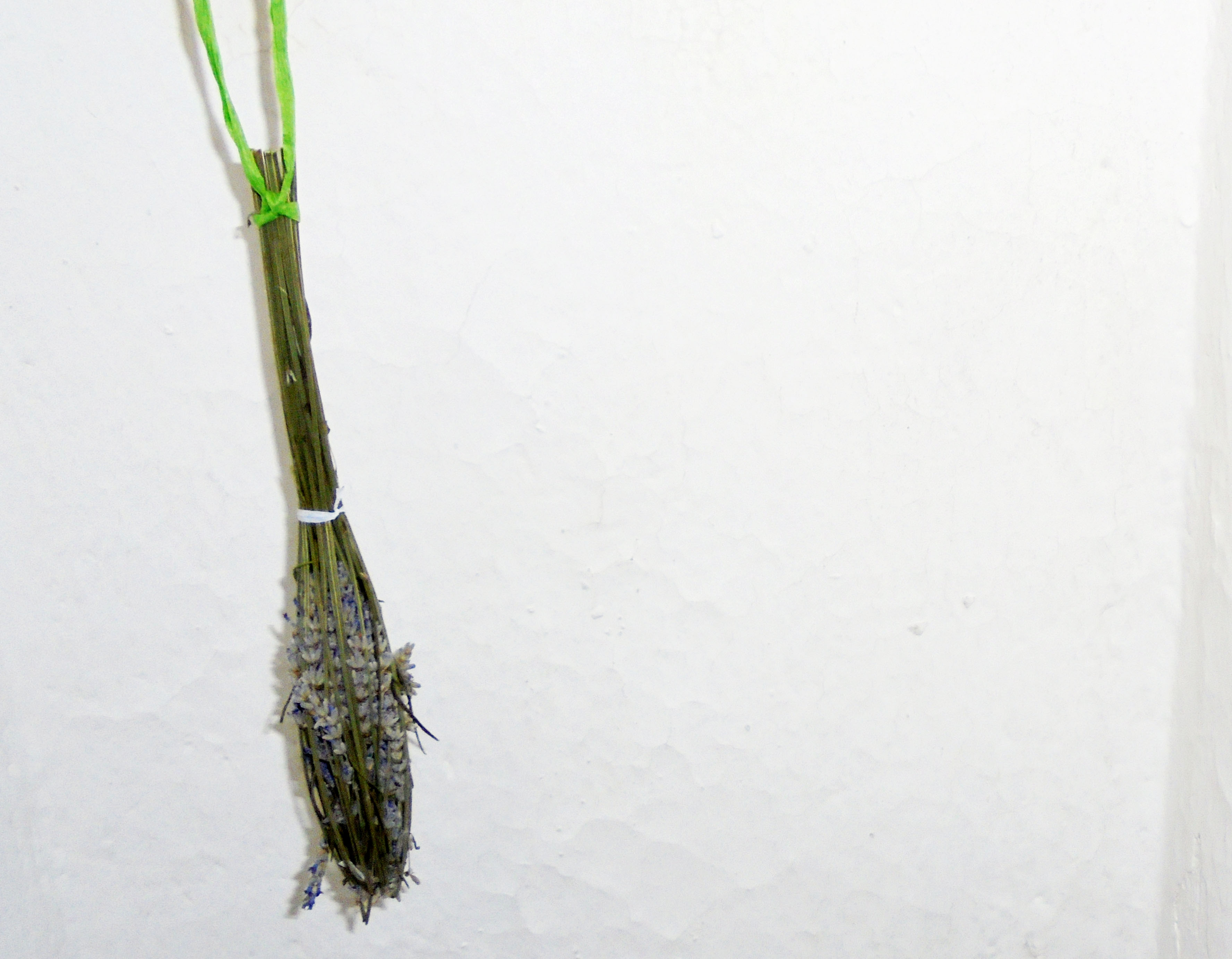 essiccare-lavanda_5.JPG