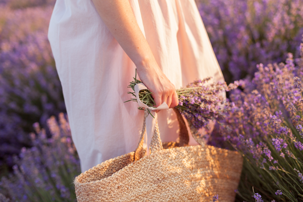 essiccare-fiori-quando-raccogliere_1.jpg
