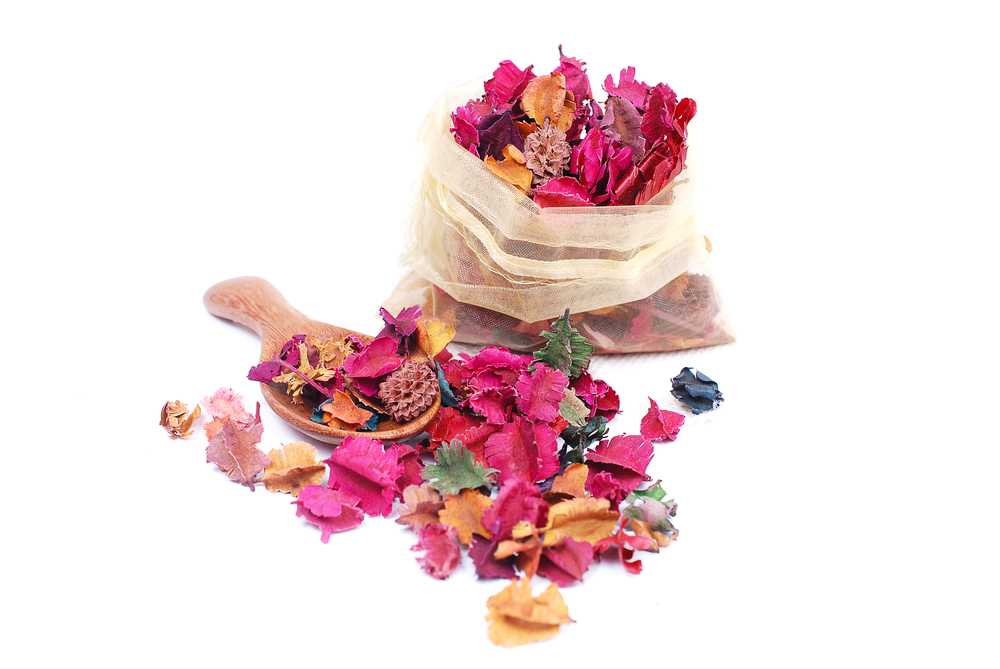 essiccare-fiori-quando-raccogliere_5.jpg