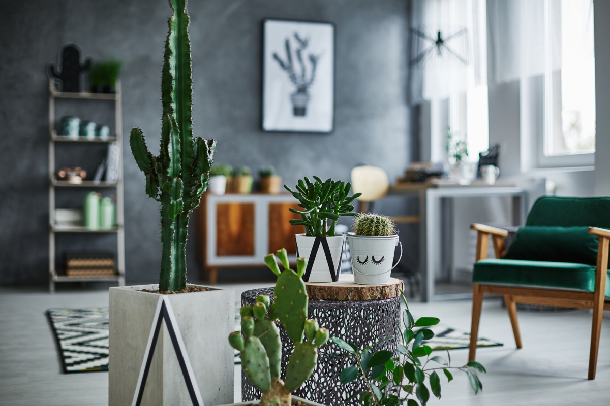 Come-arredare-casa-con-poco-5.jpg
