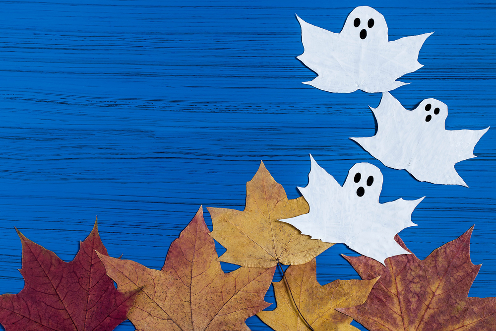 lavoretti-foglie-secche-bambini-halloween.jpg