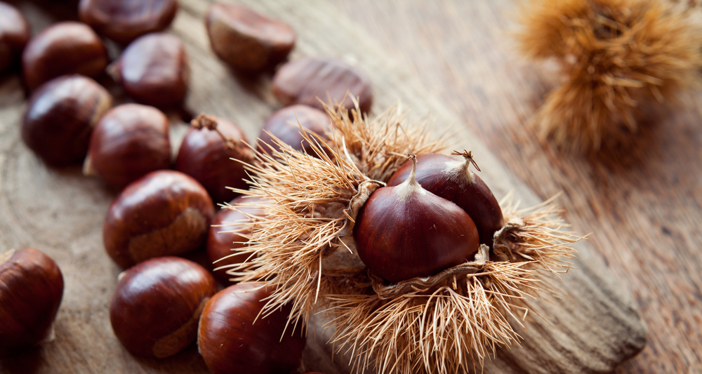 Come conservare le castagne a lungo, i metodi della nonna
