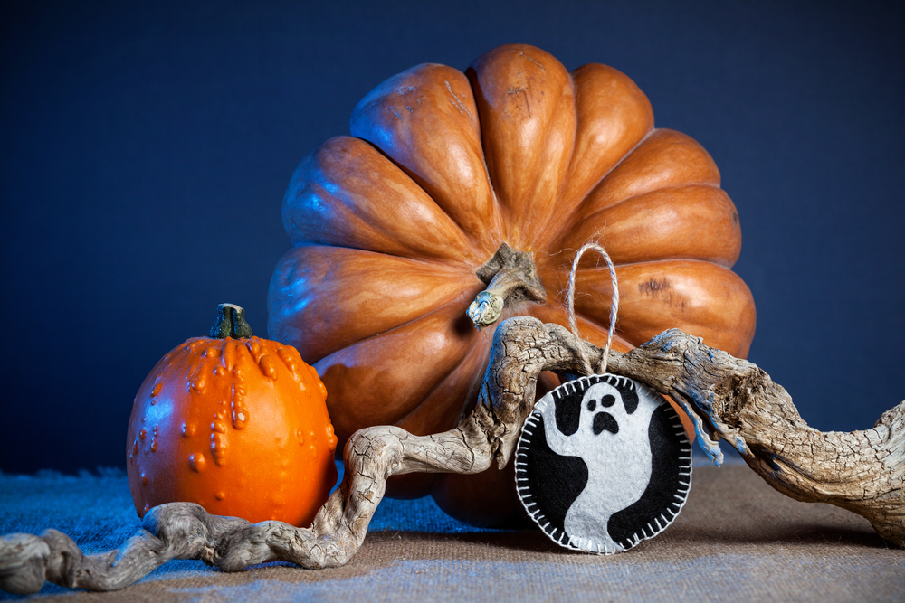 decorazioni-halloween-fai-da-te-feltro_2.jpg