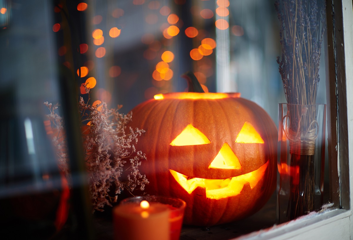 I proverbi sulla zucca e gli aforismi più simpatici dedicati al frutto di Halloween