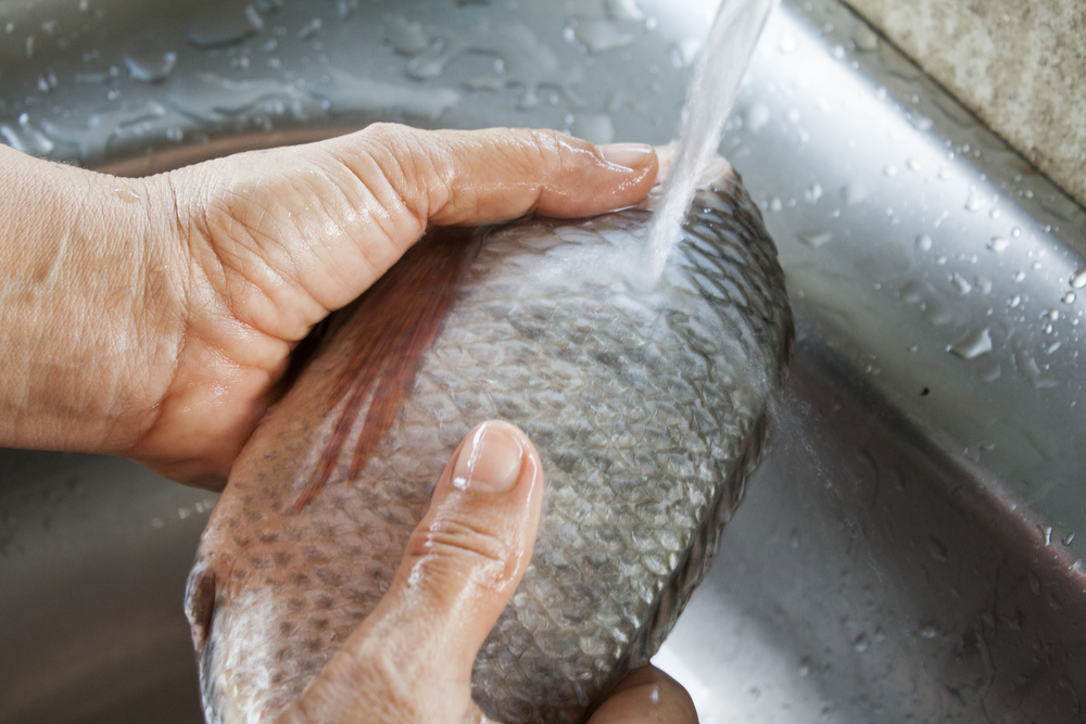 come-pulire-pesce-appena-pescato_1.jpg