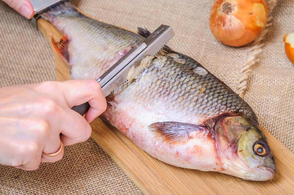 come-pulire-pesce-appena-pescato_5.jpg