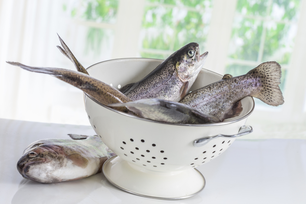 come-pulire-pesce-appena-pescato_7.jpg