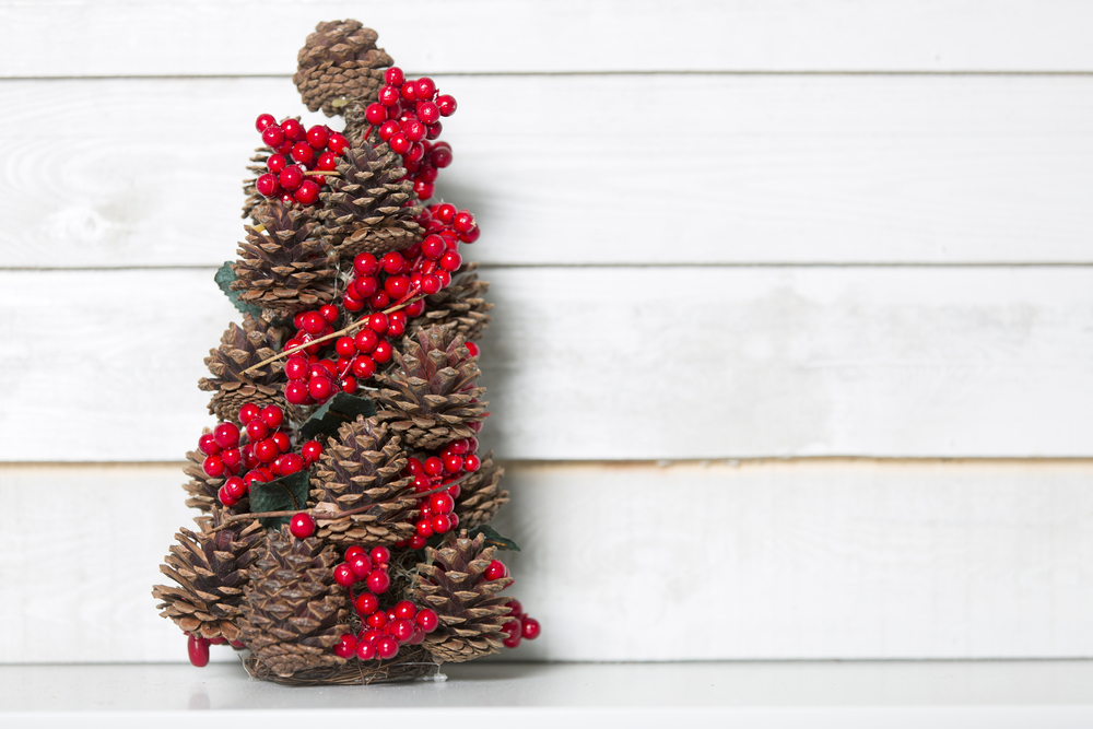 lavoretti-di-natale-pigne-decorazioni_6.jpg