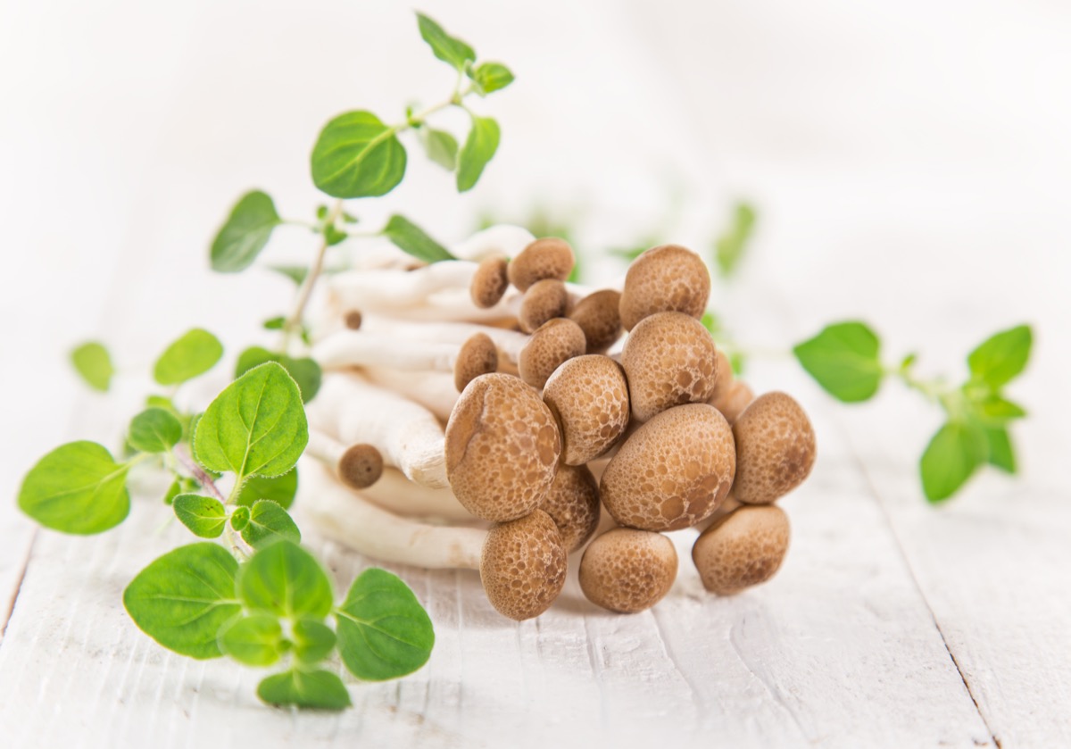 Funghi chiodini: come cucinarli e 3 ricette da provare