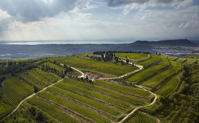 ALLEGRINI_podere_La_Grola.jpg