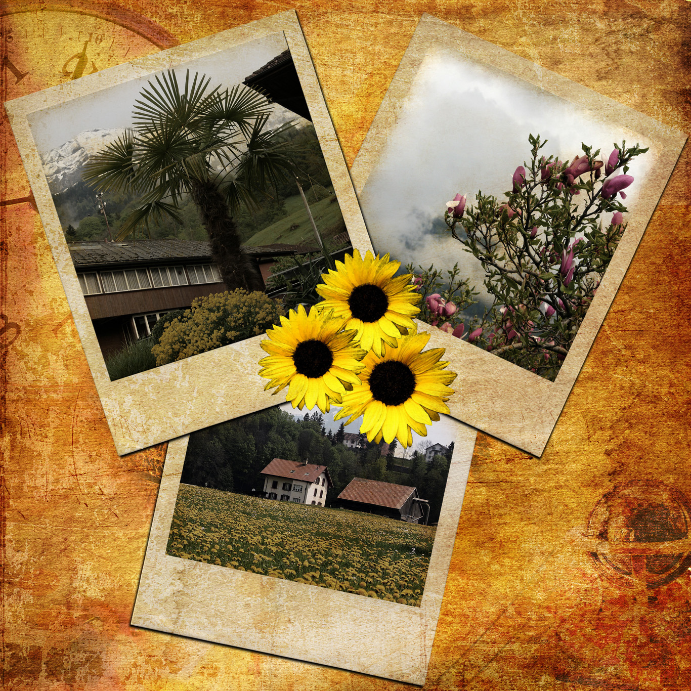 foto-effetto-polaroid-modelli-collage-fai-da-te_7.jpg