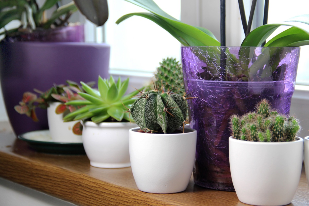 Arredamento-ultra-violet-1.jpg
