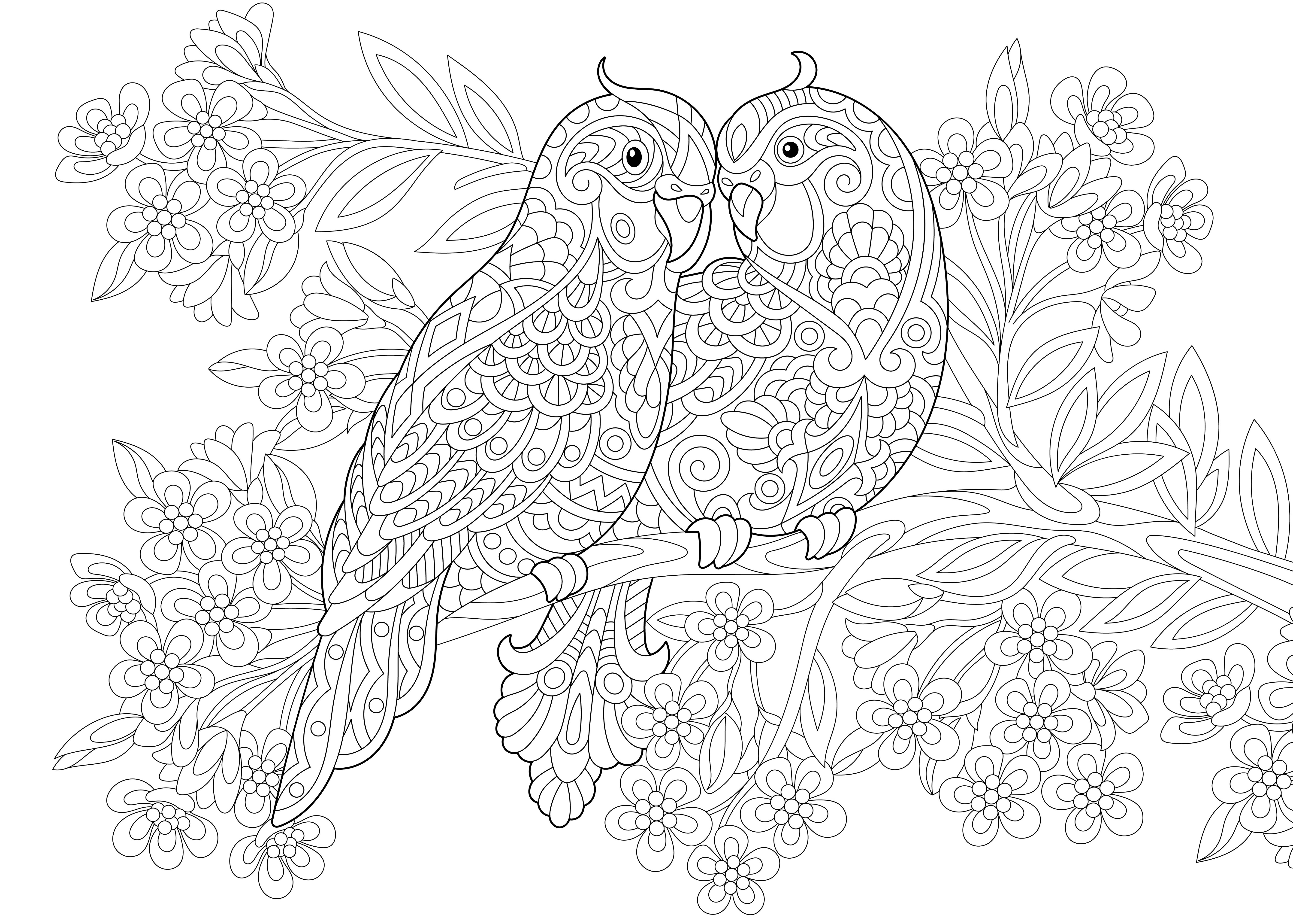 disegni-antistress-da-colorare-adulti-7.jpg