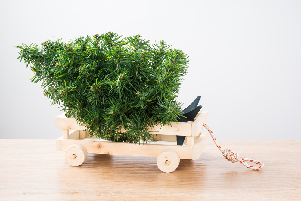 Dove buttare l'albero di Natale e perché pensarci bene prima di eliminarlo