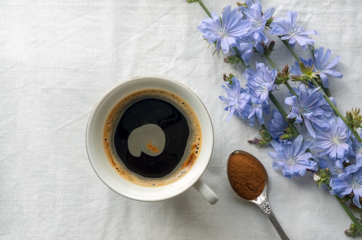 Caffè di cicoria: le proprietà depurative e come si prepara