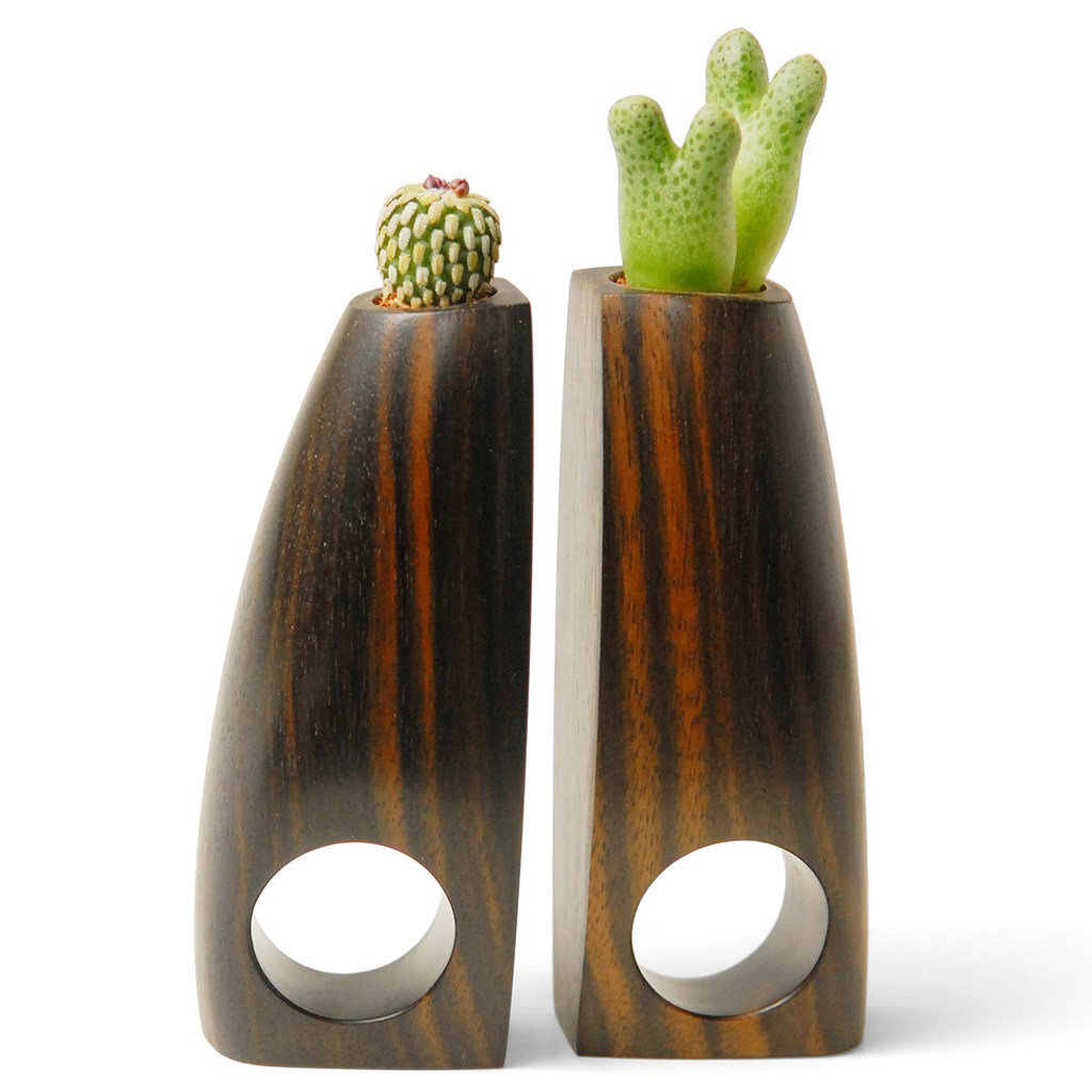 uderzo-succulent-rings-1_0.jpg