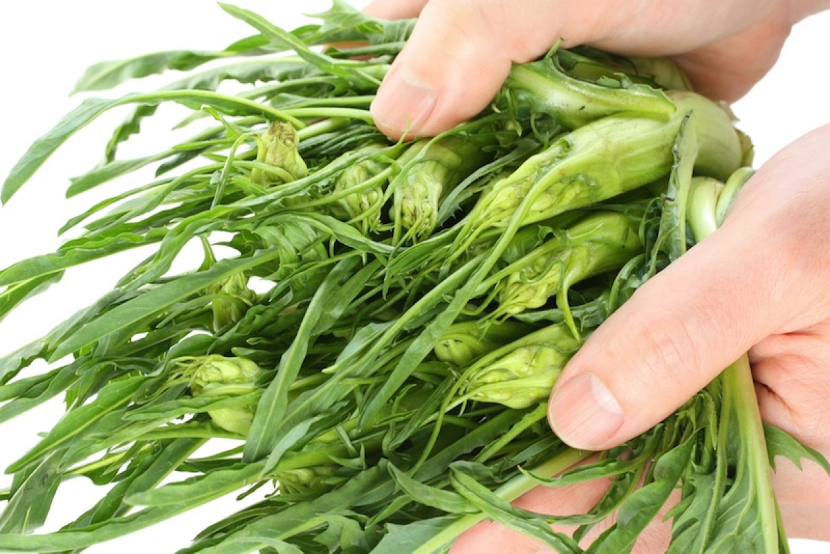 Come pulire la cicoria cimata, il video per delle puntarelle perfette