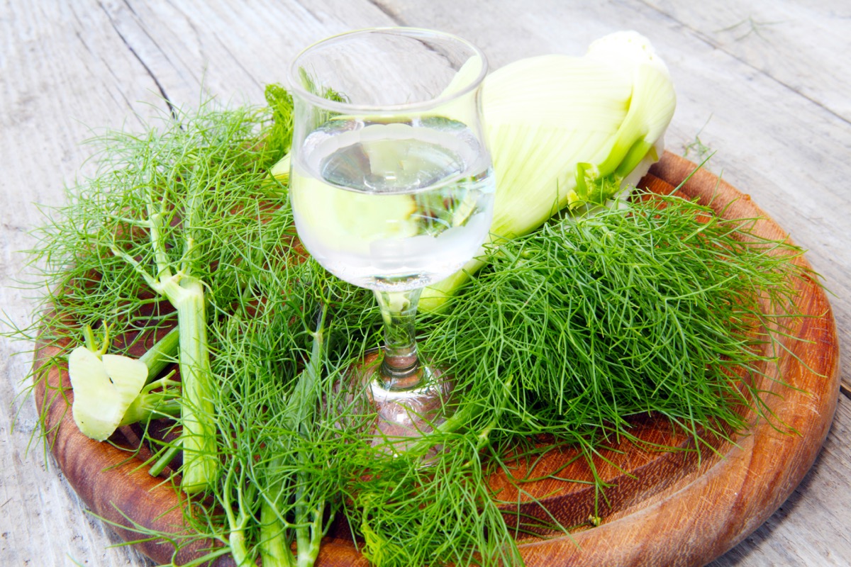 Liquore al finocchietto selvatico e anice, la ricetta per un digestivo fatto in casa ottimo