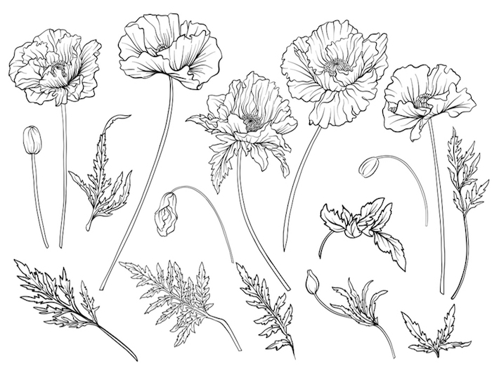 Come disegnare un fiore facilmente: 2 tutorial per fare pratica