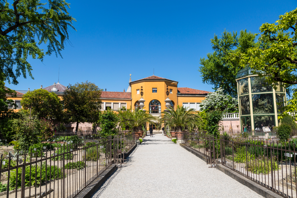 I migliori orti botanici in Italia per far conoscere piante e fiori ai bambini
