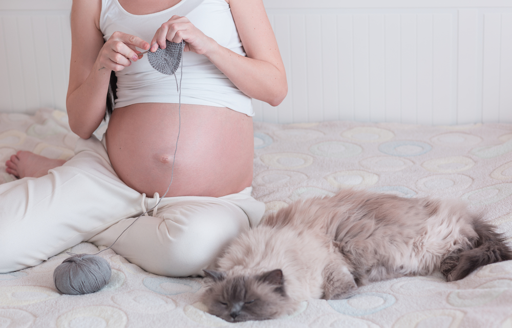 Toxoplasmosi in gravidanza, consigli per prevenirla