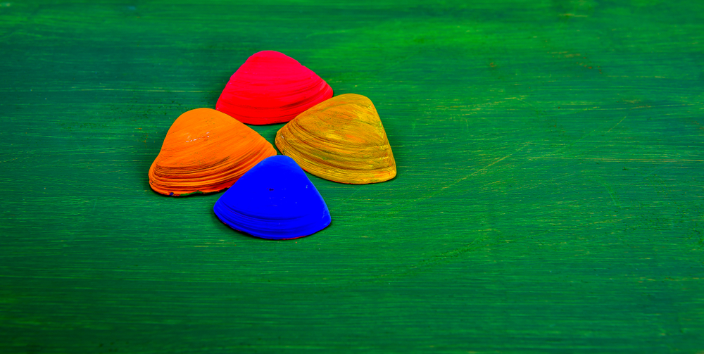 Come colorare le conchiglie per creazioni fai da te