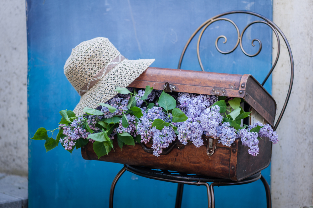 Valigia che puzza, 7 rimedi per dire addio al cattivo odore