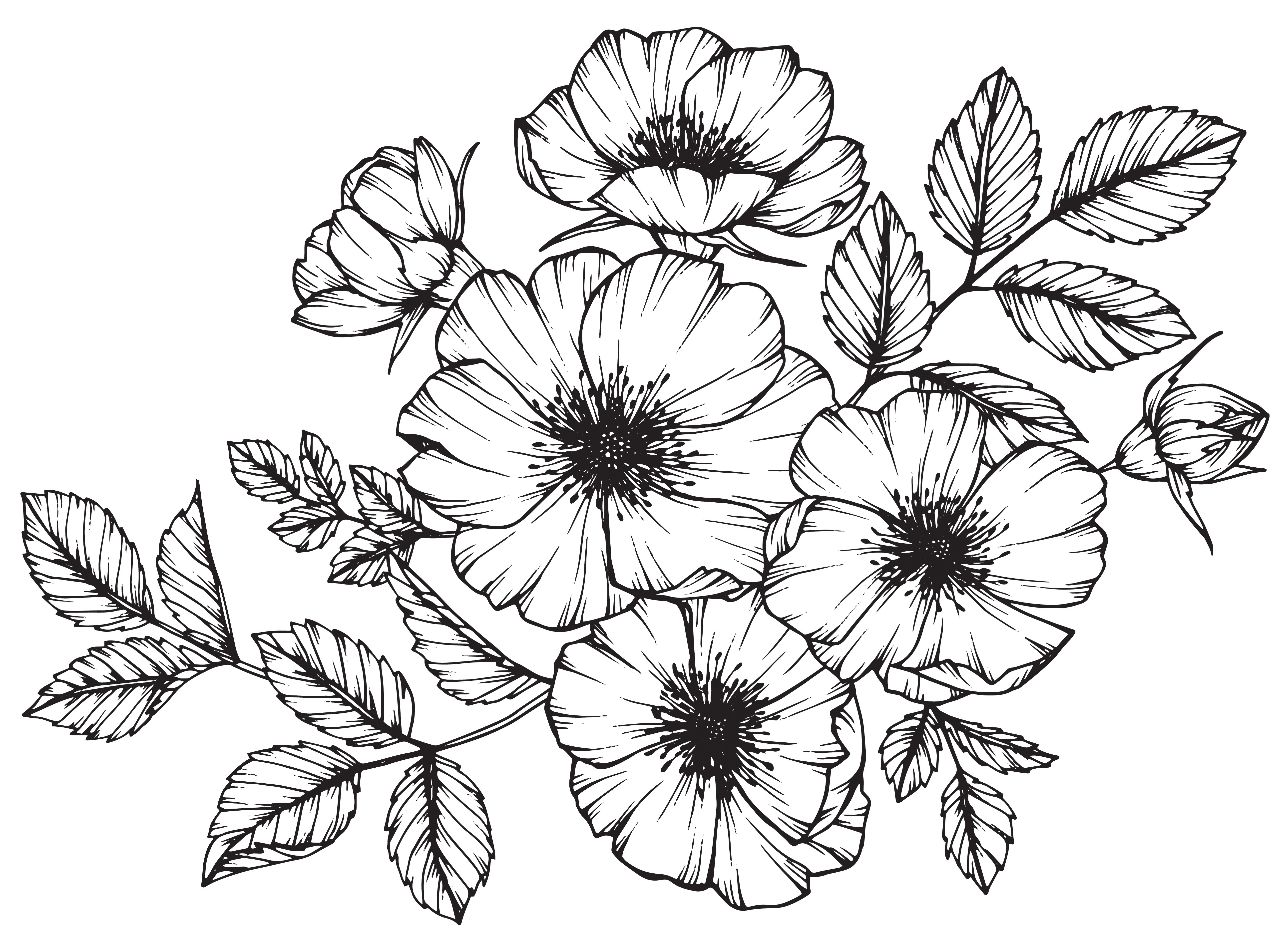 Disegni da ricamare a punto catenella, 7 immagini da scaricare gratis