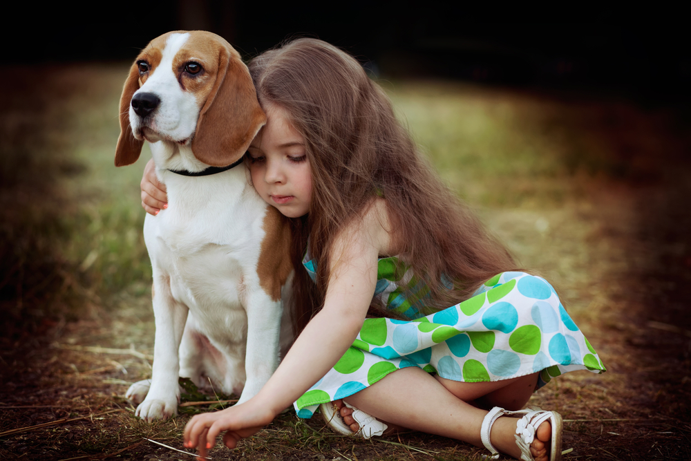 Cani taglia media: le razze più adatte ai bambini