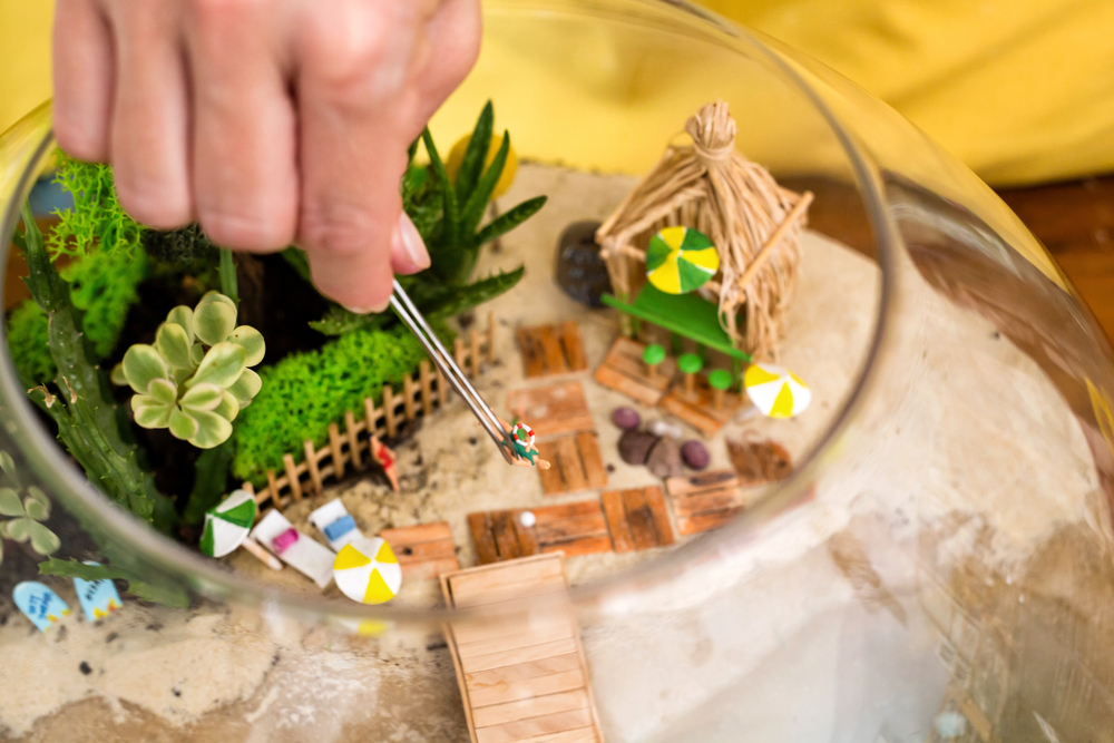 terrario-piante-fai-da-te-5.jpg