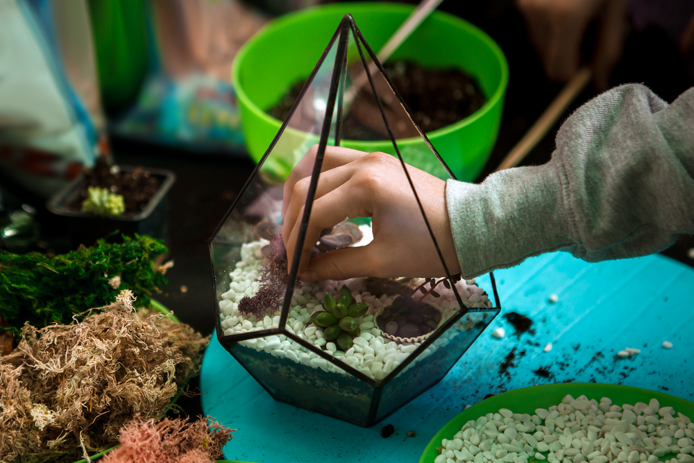 terrario-piante-fai-da-te-6.jpg