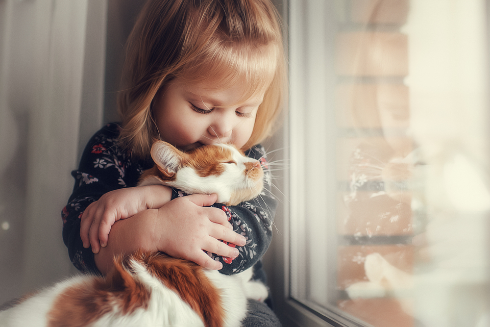 Gatti per bambini: le razze più giocose e affettuose