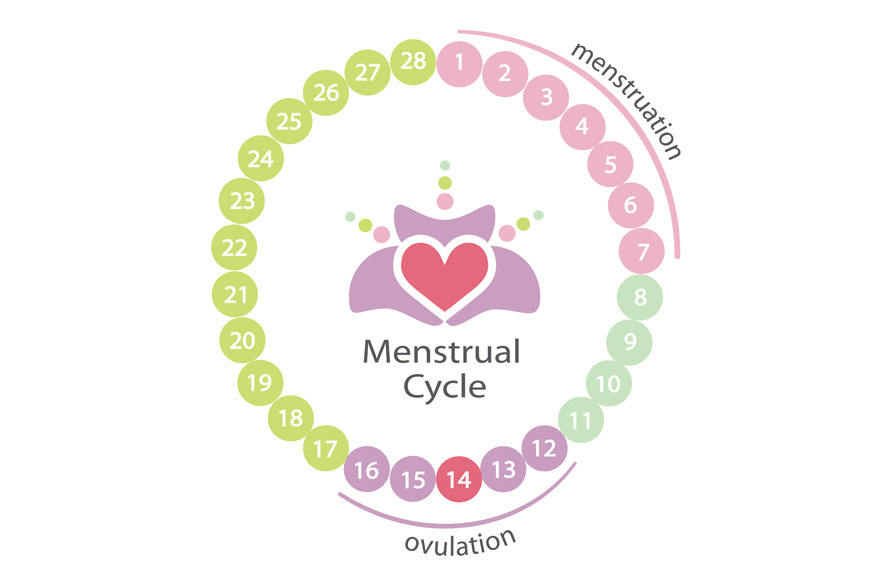 Si può rimanere incinta durante il ciclo? Forse