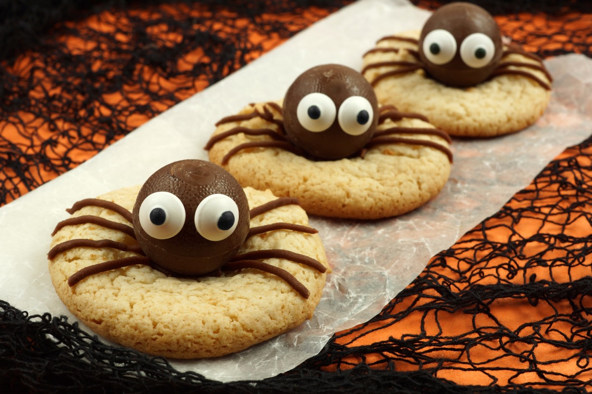 Biscotti ragno per la festa di Halloween: come si preparano e si decorano