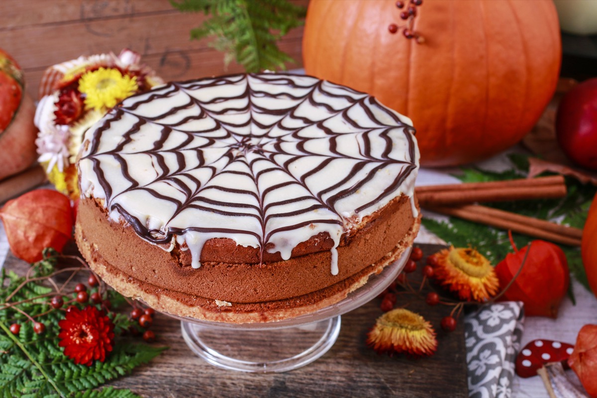 Torta con la ragnatela per Halloween, come farla per un dolce perfetto
