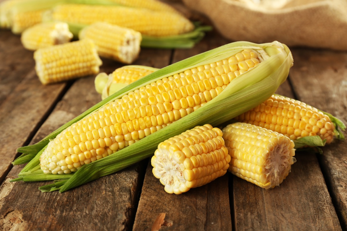 Come si cucinano le pannocchie di mais