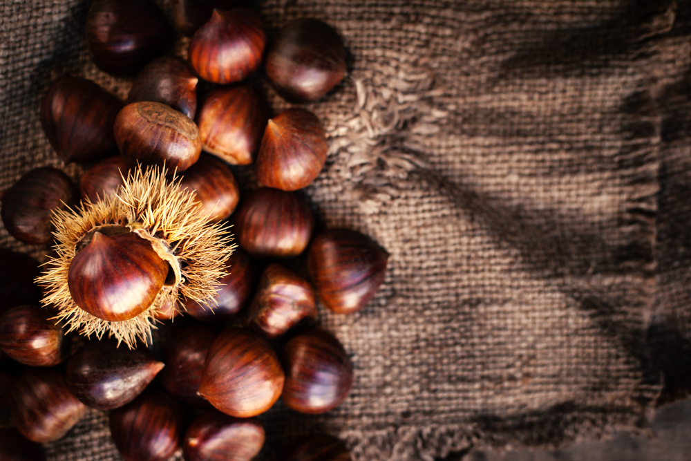 Come preparare e cucinare le castagne nel microonde