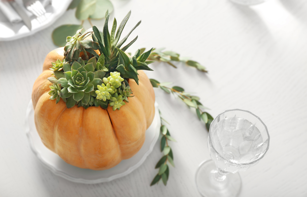 decorare-zucche-secche-4.jpg