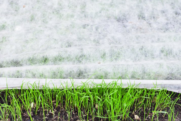 Curare il giardino d'inverno, 7 cose da non dimenticare