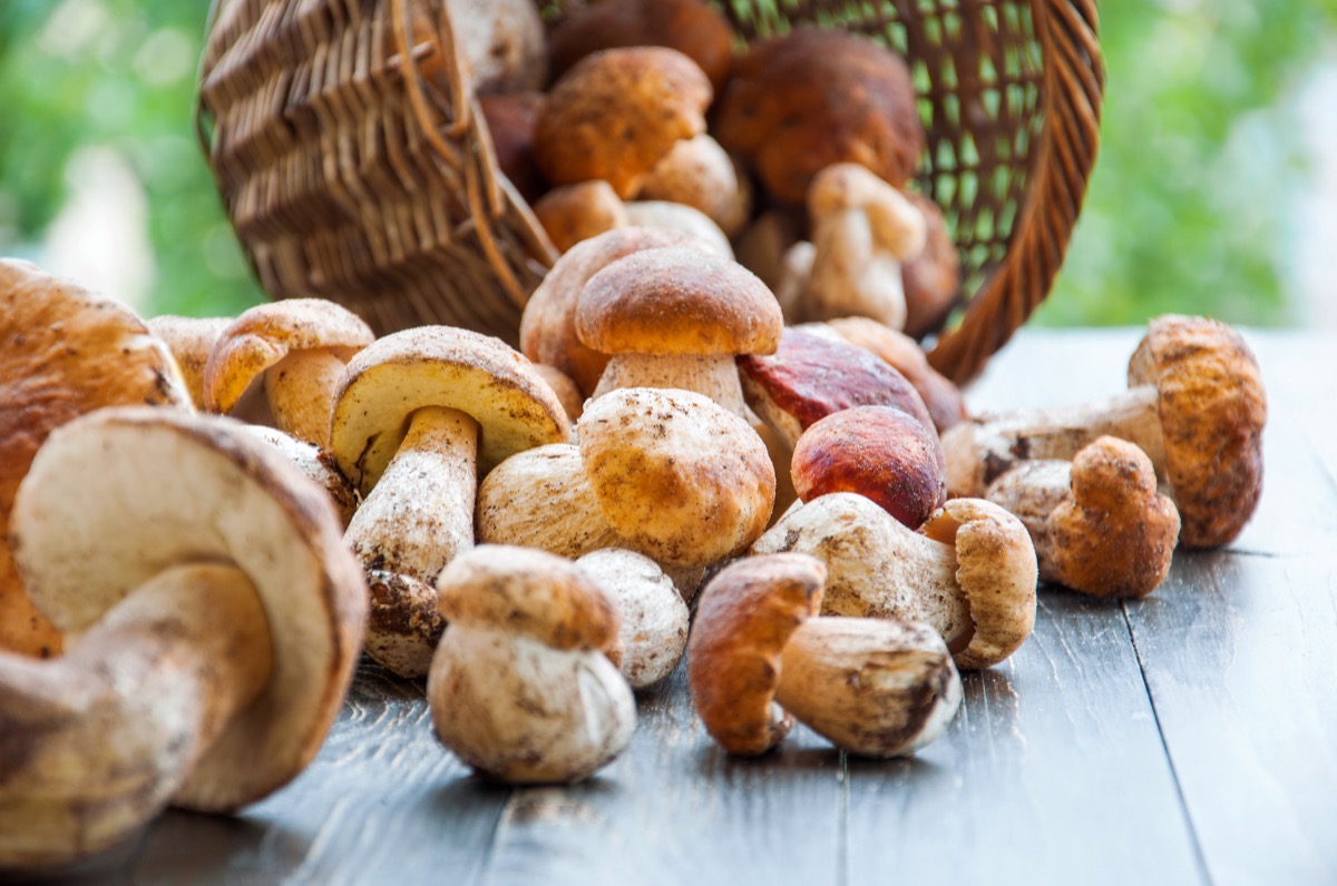 Come si puliscono i funghi porcini in modo semplice e veloce
