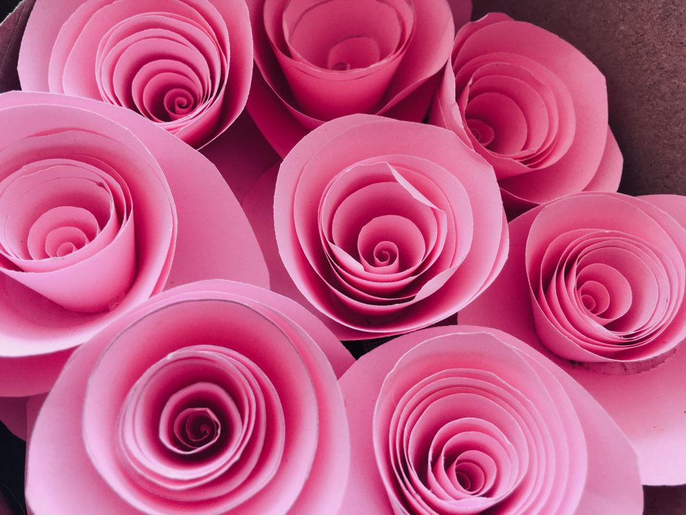 Rose di carta a spirale fai da te