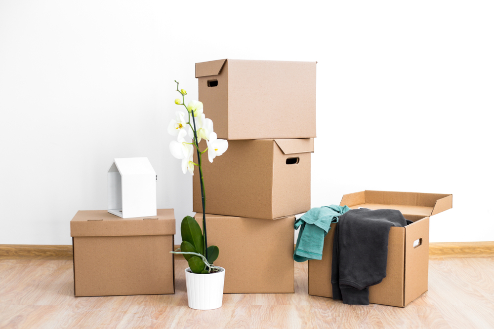 6 cose che dovresti buttare a gennaio 2019