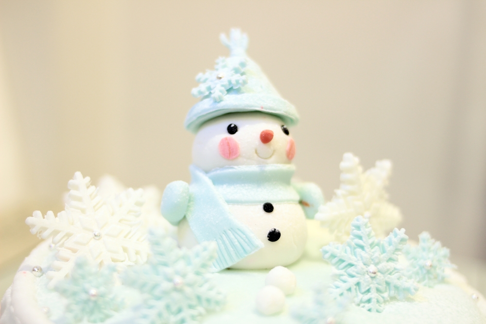 torte-tema-invernale-pasta-zucchero-3.jpg